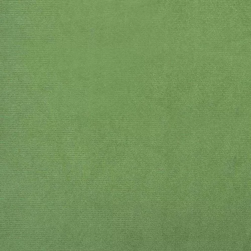 Karosszék Világos zöld 76 x 94 x 102 cm Bársony