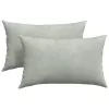 Kanapé párnák 2 pcs Világosszürke 50 x 30 cm Bársonyos szövet