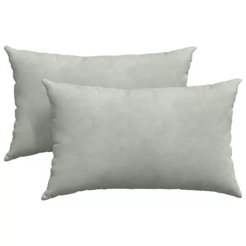 Kanapé párnák 2 pcs Világosszürke 50 x 30 cm Bársonyos szövet