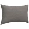Kanapé párnák 2 pcs Világosszürke 50 x 30 cm Bársonyos szövet