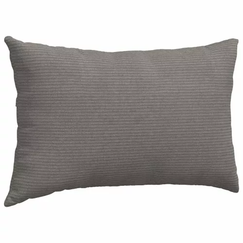 Kanapé párnák 2 pcs Világosszürke 50 x 30 cm Bársonyos szövet