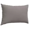 Kanapé párnák 2 pcs Tópszínű 60 x 40 cm szövet