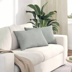   Kanapé párnák 2 pcs Világosszürke 60 x 40 cm Bársonyos szövet