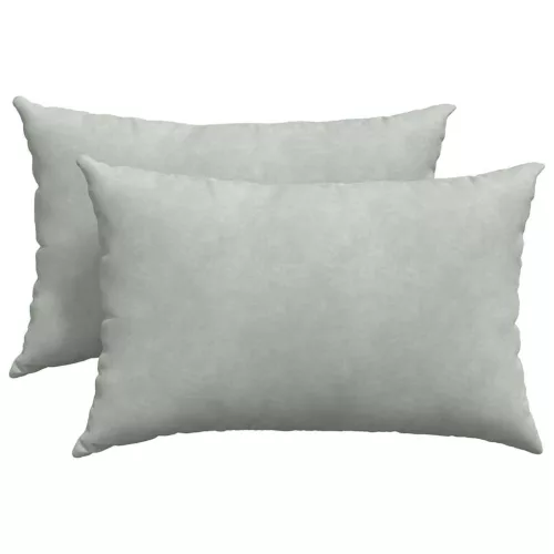 Kanapé párnák 2 pcs Világosszürke 60 x 40 cm Bársonyos szövet