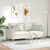 Kanapé párnák 2 pcs Világosszürke 60 x 40 cm Bársonyos szövet