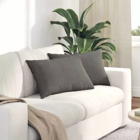   Kanapé párnák 2 pcs Világosszürke 60 x 40 cm Bársonyos szövet