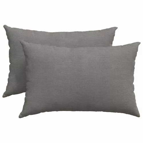 Kanapé párnák 2 pcs Világosszürke 60 x 40 cm Bársonyos szövet