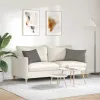 Kanapé párnák 2 pcs Világosszürke 60 x 40 cm Bársonyos szövet