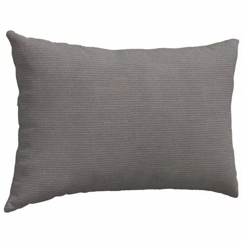 Kanapé párnák 2 pcs Világosszürke 60 x 40 cm Bársonyos szövet