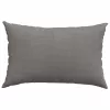 Kanapé párnák 2 pcs Világosszürke 60 x 40 cm Bársonyos szövet