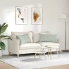 Kanapé párnák 2 pcs Világosszürke 80 x 40 cm Bársonyos szövet
