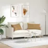 Kanapé párnák 2 pcs Barna 80 x 40 cm Bársonyos szövet