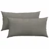 Kanapé párnák 2 pcs Világosszürke 80 x 40 cm Bársonyos szövet