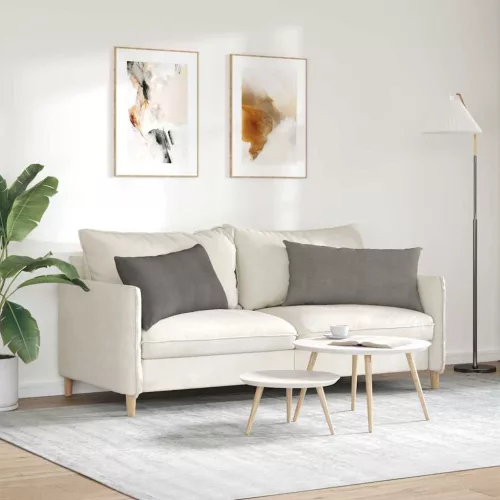 Kanapé párnák 2 pcs Világosszürke 80 x 40 cm Bársonyos szövet