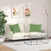 Kanapé párnák 2 pcs Világos zöld 70 x 50 cm Bársonyos szövet