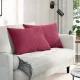 Kanapé párnák 2 pcs Bordó 70 x 50 cm Bársonyos szövet