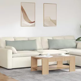   Kanapé párnák 2 pcs Világosszürke 120 x 40 cm Bársonyos szövet