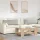 Kanapé párnák 2 pcs Világosszürke 120 x 40 cm Bársonyos szövet