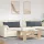 Kanapé párnák 2 pcs Sötétszürke 120 x 40 cm Bársonyos szövet