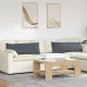 Kanapé párnák 2 pcs Sötétszürke 120 x 40 cm Bársonyos szövet