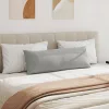 Kanapé párnák 2 pcs Világosszürke 120 x 40 cm szövet
