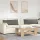 Kanapé párnák 2 pcs Világosszürke 120 x 40 cm Bársonyos szövet
