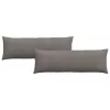 Kanapé párnák 2 pcs Világosszürke 120 x 40 cm Bársonyos szövet