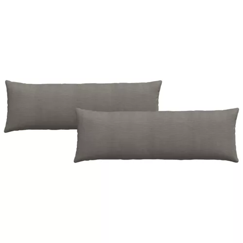 Kanapé párnák 2 pcs Világosszürke 120 x 40 cm Bársonyos szövet