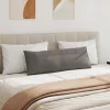 Kanapé párnák 2 pcs Világosszürke 120 x 40 cm Bársonyos szövet