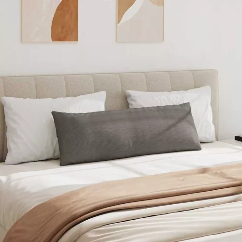 Kanapé párnák 2 pcs Világosszürke 120 x 40 cm Bársonyos szövet