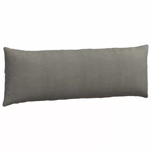 Kanapé párnák 2 pcs Világosszürke 120 x 40 cm Bársonyos szövet