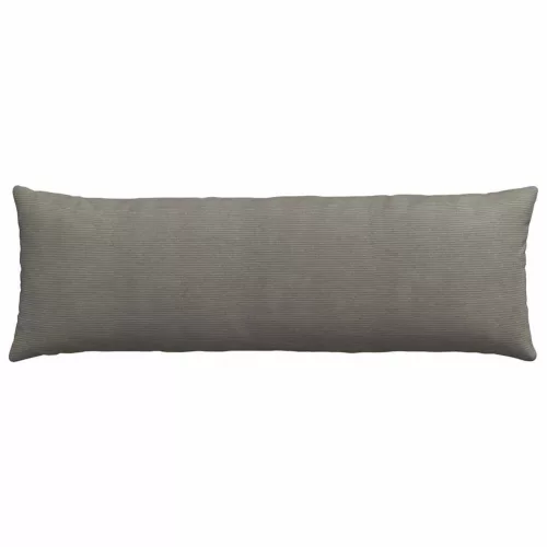 Kanapé párnák 2 pcs Világosszürke 120 x 40 cm Bársonyos szövet
