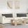 Kanapé párnák 2 pcs Sötétszürke 120 x 40 cm Bársonyos szövet