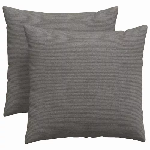 Kanapé párnák 2 pcs Világosszürke 45 x 45 cm Bársonyos szövet