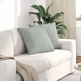   Kanapé párnák 2 pcs Világosszürke 50 x 50 cm Bársonyos szövet