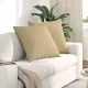 Kanapé párnák 2 pcs Szürke zöld 60 x 60 cm Bársonyos szövet