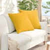 Kanapé párnák 2 pcs Világos sárga 60 x 60 cm Bársonyos szövet