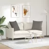 Kanapé párnák 2 pcs Világosszürke 80 x 80 cm Bársonyos szövet