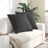 Kanapé párnák 2 pcs Sötétszürke 80 x 80 cm Bársonyos szövet