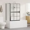 Fürdő Zuhany Képernyő Fekete és átlátszó 80 x 67 x 129.5 cm