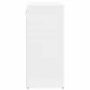 Cipősszekrény polcokkal Fehér 103 x 30 x 67 cm Faanyag