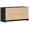 TV állvány Fekete 102 x 37.5 x 52.5 cm Faanyag
