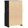 Széf LED -es lámpákkal Fekete 60 x 37 x 100 cm Faanyag