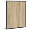 Fürdőszobai tükör polcokkal Fekete 50 x 12 x 60 cm Faanyag