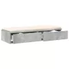 Ágyfiókok fiókkal Beton szürke 75 x 36.5 x 16.5 cm Faanyag