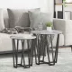 Kisasztal készlet 2 pcs Szürke sonoma és Fekete