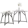 Kisasztal készlet 2 pcs Szürke sonoma és Fekete 50 x 50 x 50 cm