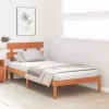 Ágykeret fejtámlával Barna 100 x 200 cm Tömör fenyőfa