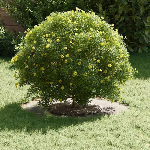 Lapított Fa Gyűrűk 5 pcs Ezüst Ø30 / 60 cm Rozsdamentes acél