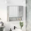 Tükörszekrény polcokkal Beton szürke 59 x 17 x 55 cm Faanyag